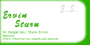 ervin sturm business card
